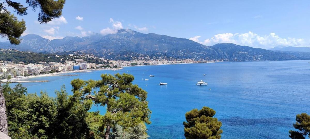 Le Coq -Splendide Vue -Magnifique Piscine -Parking Apartment Cap-d'Ail Bagian luar foto